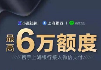 上海小赢信用卡如何申请激活 不用面签直接APP激活 手机赚钱 第1张