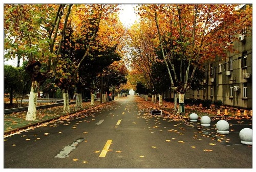 shenqiu.jpg 秋季是一个思念的季节 小白分享