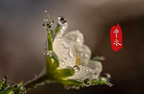 yushui.jpg 二十四节气之雨水 小白分享